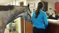 Kamer voor twee graag! ©Lindsey Patridge, Harmony Horsemanship