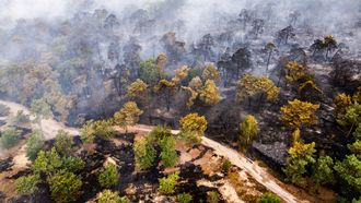 natuurbranden natuurbrand Limburg