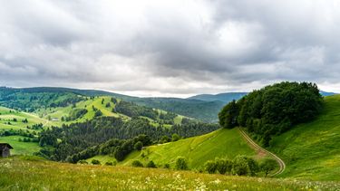 Urlaub Schwarzwald Tipps