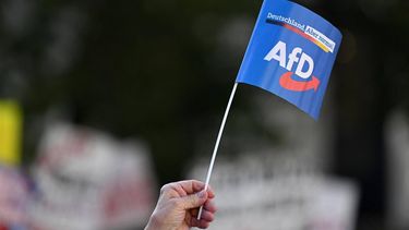 A supporter waves a flag with the party logo during an election campaign event of the far-right Alternative for Germany AfD party in Munich, southern Germany, on October 2, 2023, ahead of the upcoming state election in Bavaria on October 6. 
Christof STACHE / AFP