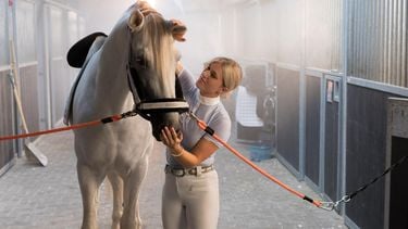Britt Dekker: liever op een paard dan op tv