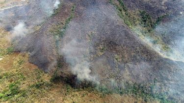 Bolsonaro stuurt leger naar bosbranden in Amazone