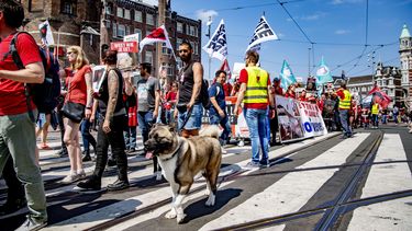  Honderden bij Animal Rights Mars Amsterdam