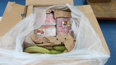 De cocaine werd vervoerd in een container vol bananen. Foto: Politie