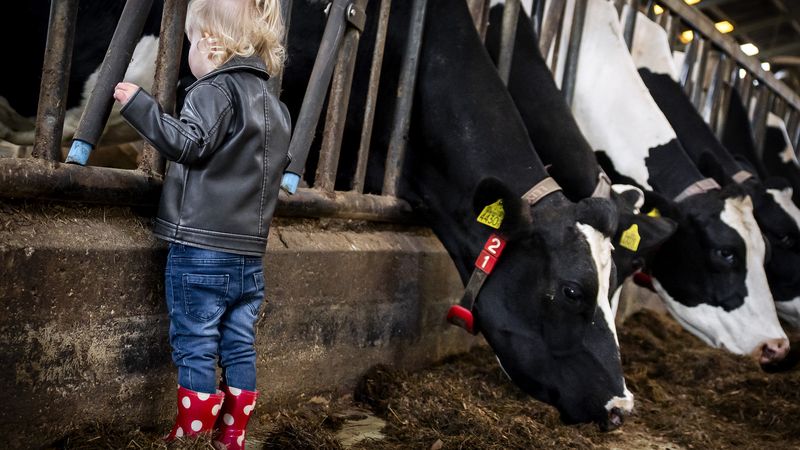 boerderij erfdelen