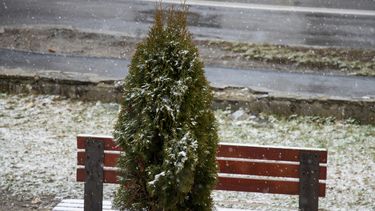 sneeuw, weerbericht, weersvoorspelling, winter