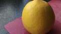 'Citroenentijd' Miljoenen mensen checken stuk fruit telegraaf column citroen, oude vrouw