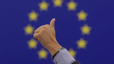 epa10741363 A member of the European Parliament (MEP’s) gestures during a voting session of the European Parliament in Strasbourg, France, 12 July 2023. Members of the European Parliament (MEP’s) are voting on the European law on the Nature Restoration Law.  EPA/JULIEN WARNAND