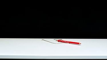 bindend correctief referendum democratie burger wet