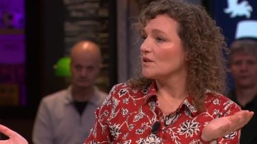 Renske Leijten toeslagenaffaire geld verdienen VI