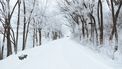 Sneeuw in Nederland dit weekend, tot 20 cm