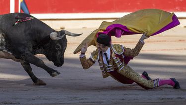 Verbod opgeven: Mallorca staat stierengevechten toe