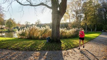 regenen, regen, weekend, weersvoorspelling, weerbericht