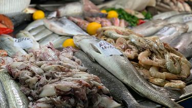 Veel viswinkels voldoen niet aan eisen voor voedselveiligheid: 'Kan van een 6 naar een 9'