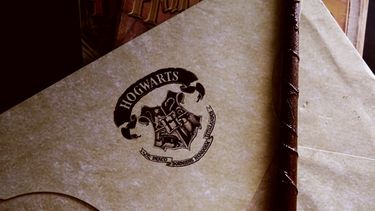 Harry Potter, hogwarts legacy, arachnofobie, spinnenfobie
