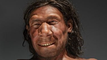 Neanderthaler gezicht 1