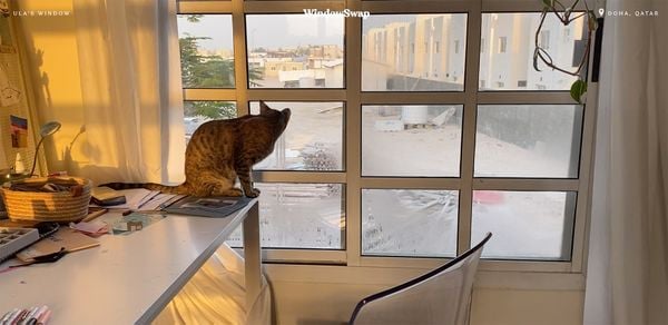 Op deze foto zie je een window in Qatar