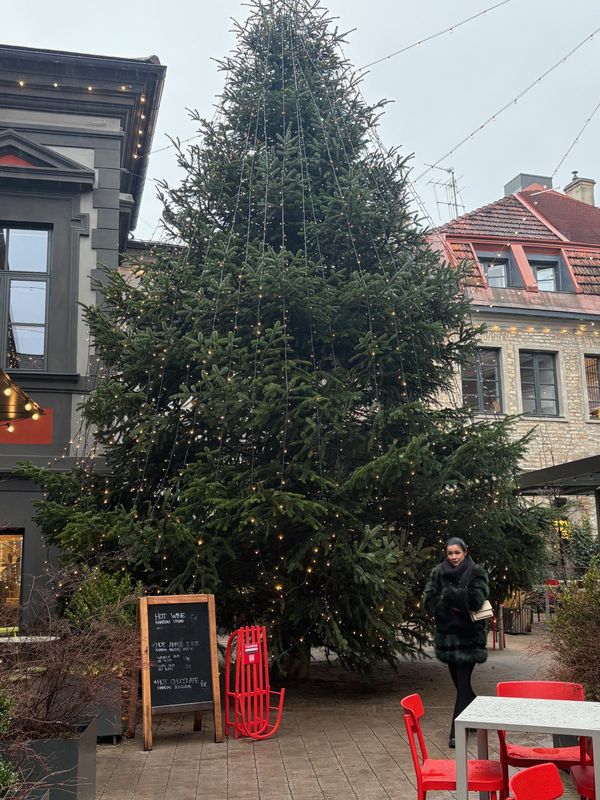 Vilnius kerstboom binnenplaats