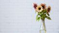 Bos bloemen