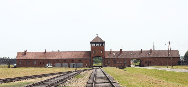 Holocaust onderzoek kritiek