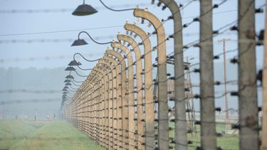 Israëlische tiener plats tegen monument in Auschwitz. / EPA