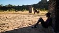 A herder grazes his cows in a fenced off homestead yard under construction in Matobo, Matabeleland, on May 10, 2024. A drought across southern Africa has been driven mostly by the El Nino weather pattern, not climate change, scientists said. Scientists at the World Weather Attribution (WWA)  research group found global warming had little to do with it. Zambia, Zimbabwe and Malawi have declared a national disaster over the severe dry spell that started in January and has devastated the agricultural sector, decimating crops and pastures. Farmers supplement the depleted pastures with stock feeds to avert the effects of drought on livestock. 
Zinyange Auntony / AFP