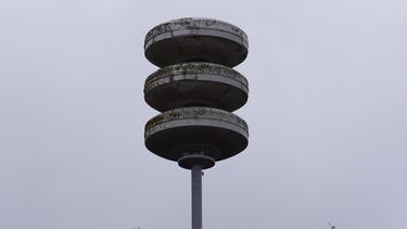 Ylryfbrevshapm