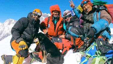 Zwerfhond beklimt als eerste hond Himalaya-bergtop