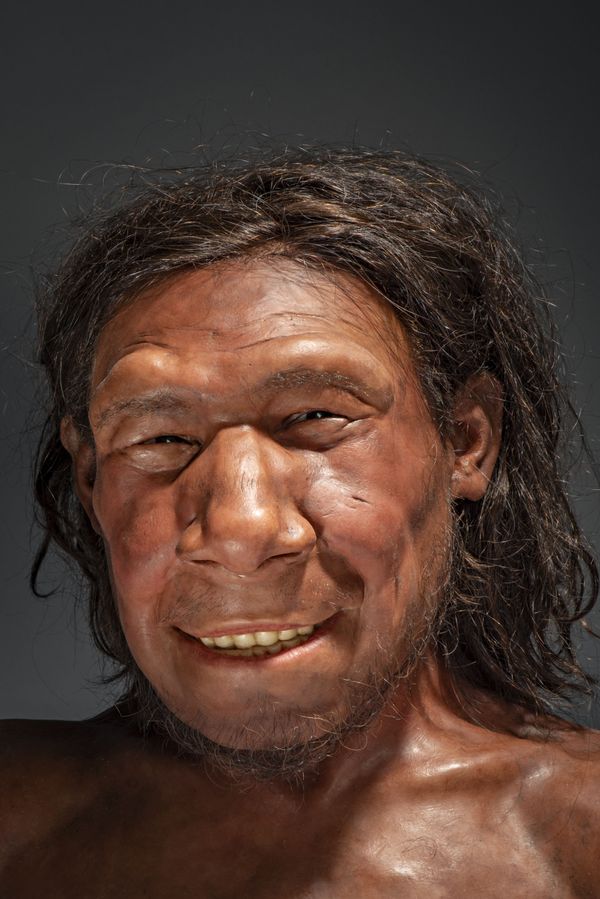 Neanderthaler gezicht 2
