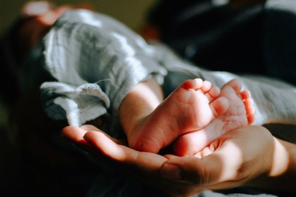 nakomelingen baby geboortecijfer