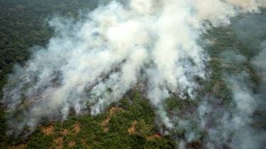 Brazilië maakt 8 miljoen vrij voor bosbranden