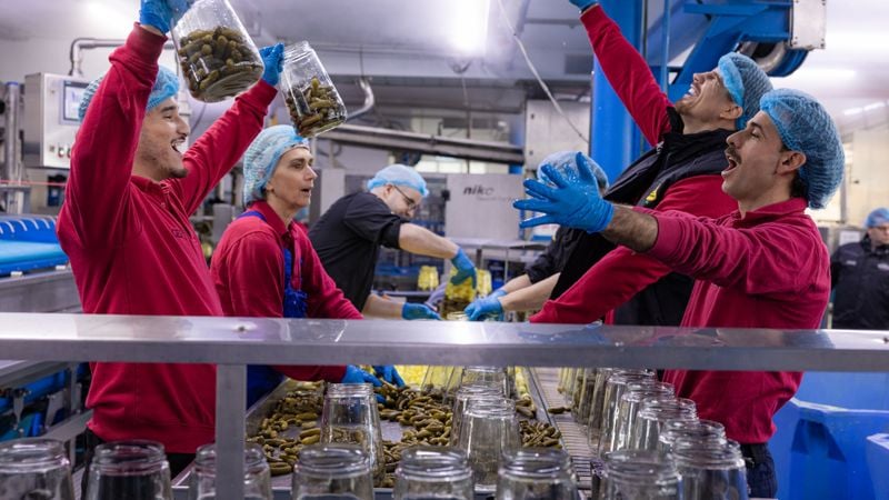 Augurk aan Zee augurken Kesbeke