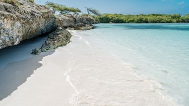 welness aruba vakantie tips