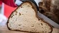 vezels in brood