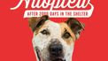 Hond na bijna zes jaar in asiel eindelijk geadopteerd