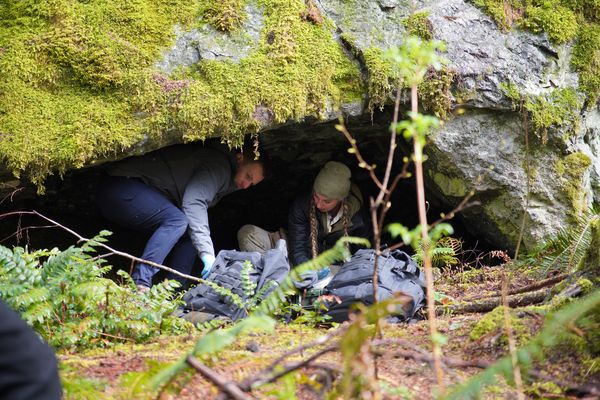 Lost Monster Files Discovery