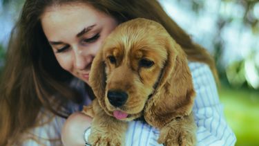 Waarom je stem verandert als je tegen een hond praat
