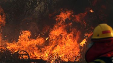 Nederland bezorgd om natuurbranden in de Amazone