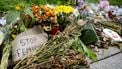 femicide veilig thuis