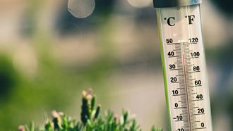 Augustus wereldwijd warmste maand ooit, West-Europa beleefde recordzomer