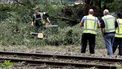 Prorail kapt bomen om vertragingen tegen te gaan