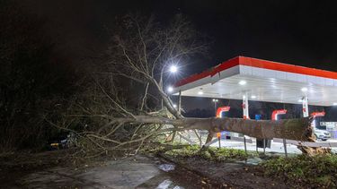 VIJFHUIZEN - Een boom bij een tankstation langs de N205 aan de Schipholweg is omgewaaid en heeft het dak van het tankstation beschadigd. Het KNMI heeft code oranje afgegeven voor het noorden van Nederland door storm Conall. ANP MIZZLE MEDIA