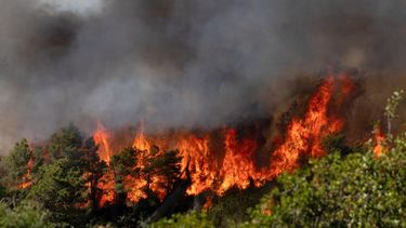 epa13081090 Flames from a wildfire burn through vegetation near Sainte-Valiere, Aude department, southern France, 02 July 2026. A large wildfire has been raging in southern France since 01 July, forcing scores of people to be evacuated, emergency services said.  EPA/CHLOE REULET