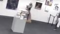 Zoon gooit kunstwerk om, 'dat wordt 132.000 dollar'