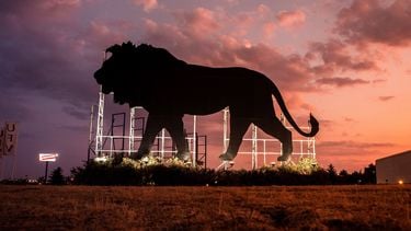 Lion King nu al succesvolste Disneyfilm in Nederland
