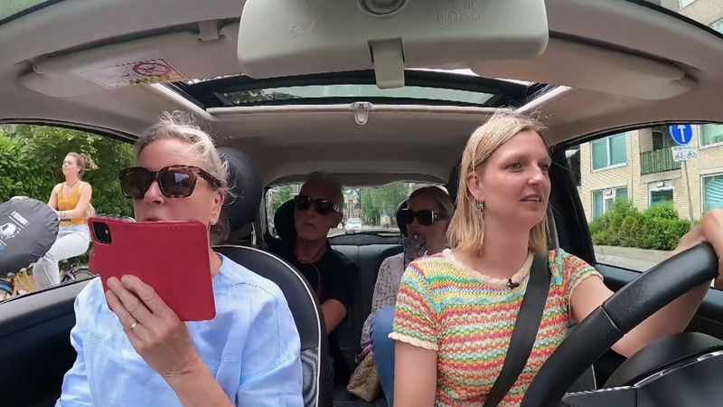 Chateau Meiland, code rose, erica meiland