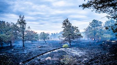 Stelling van de dag: 'Wie een natuurbrand veroorzaakt door onvoorzichtig gedrag, moet de bluskosten betalen'