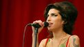 Amy Winehouse jurk veiling