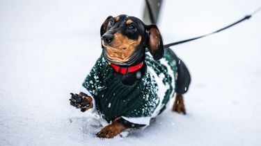 MAASDAM - Mensen lopen over een besneeuwde straat. In het hele land geldt code geel voor gladheid door sneeuw of bevriezing van wegen. JEFFREY GROENEWEG / ANP