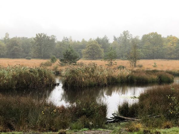 wandelen kootwijk